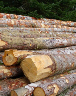 Rondhout - sparrenhout - volledige vrachtwagenlading 40RM