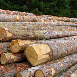 Rondhout - sparrenhout - volledige vrachtwagenlading 40RM