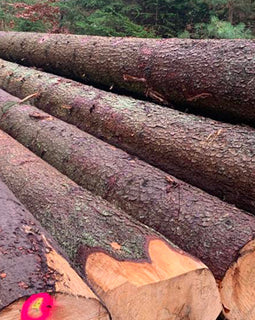 Beukenstammen - volledige vrachtwagenlading 40RM