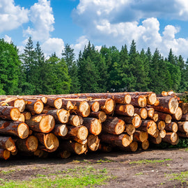 Brandhout - Beuken - halve vrachtwagenlading 20RM
