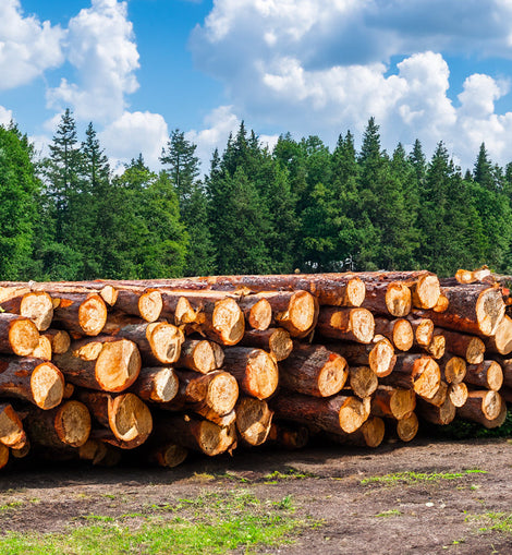 Brandhout - Beuken - halve vrachtwagenlading 20RM